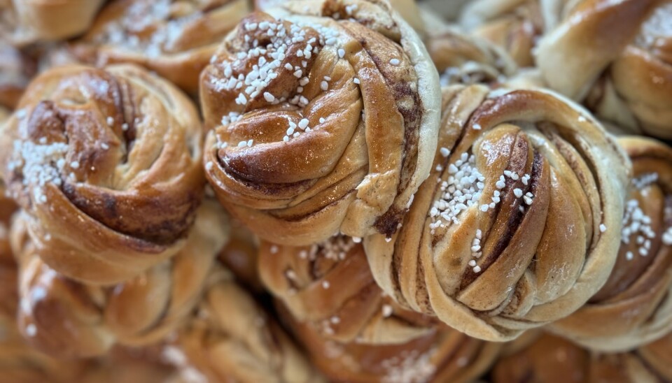 Dette er Kristiansands beste kanelboller, ifølge en ny kåring gjennomført av KRS - Avisen Kristiansand.