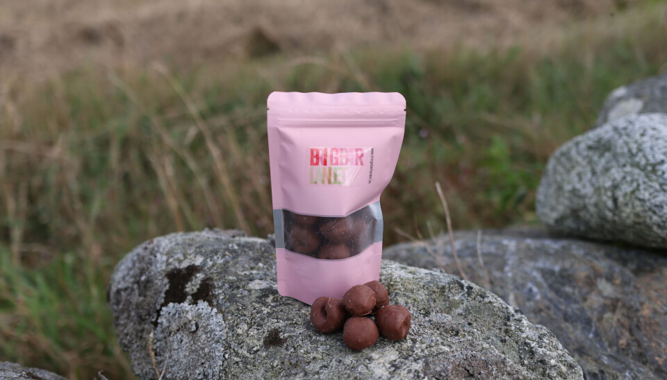 Frosne fristelser fra Bringebærlandet.