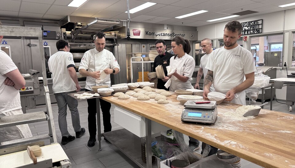 Ambassadører og kursdeltakere i full sving hos Idun på Hvam.