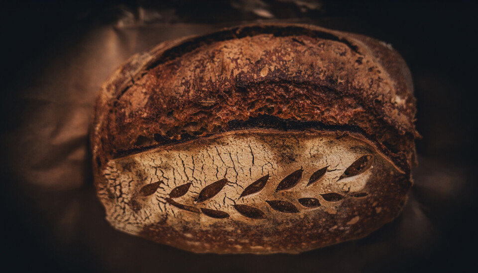 Bakeri 29 er et håndverksbakeri som tilbyr både brød og søtbakst.