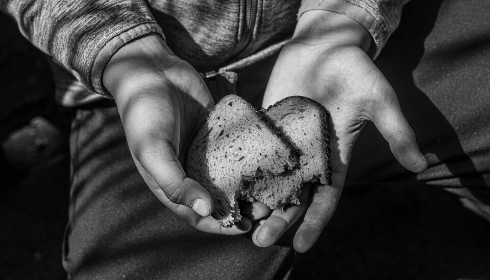 Den svenske bakerbransjen vil bidra til å styrke landets beredskap gjennom å utvikle et enkelt, næringsrikt og holdbart brød som kan bakes i krisesituasjoner.