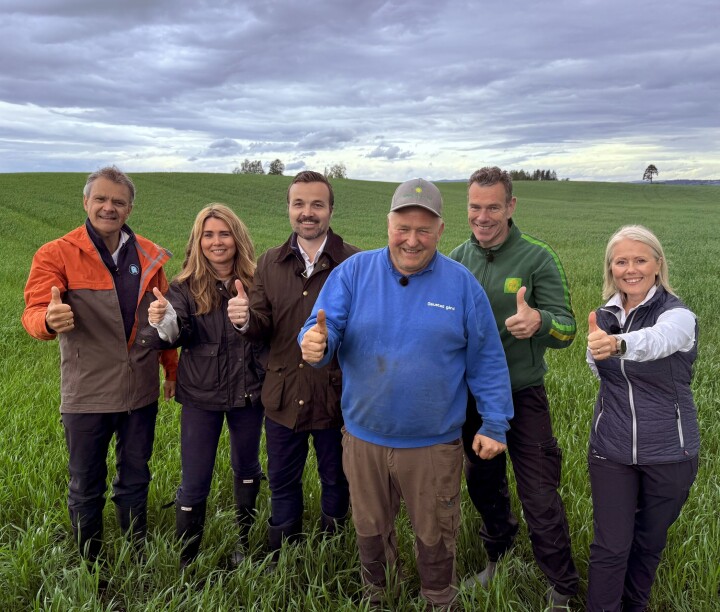 Representanter for hele verdikjeden for matkorn samlet i kornåkeren hos Olav Vold. Fra venstre: Administrerende direktør Christian Hoel i Rema 1000, Beathe Lo, innovasjon- og markedsdirektør i Mesterbakeren, Jøran Stangervåg, salgs- og markedsdirektør i Norgesmøllene, kornbonde Olav Vold, forretningsområdesjef Ragnar Dæhli i Felleskjøpet Agri og Hilde Mosand, markedsdirektør i Yara.