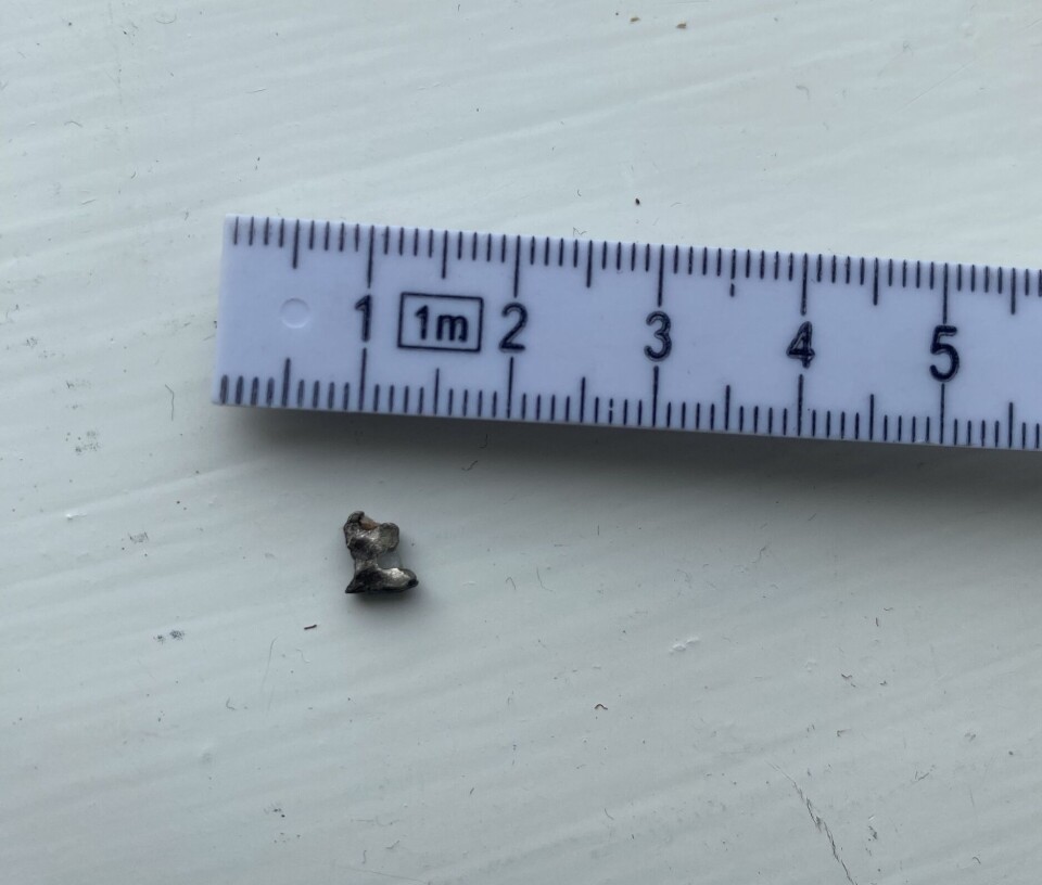 Metallbiten er cirka 5 millimeter bred.