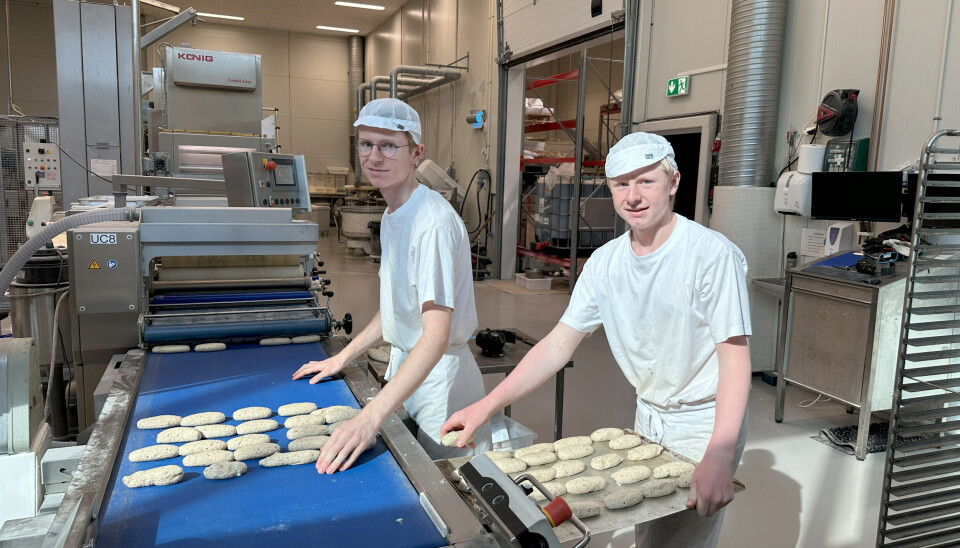 Knut Magne Sjo Fagerland og Ingvald Sjo Fagerland er begge vikarer hos Haugli Bakeri.