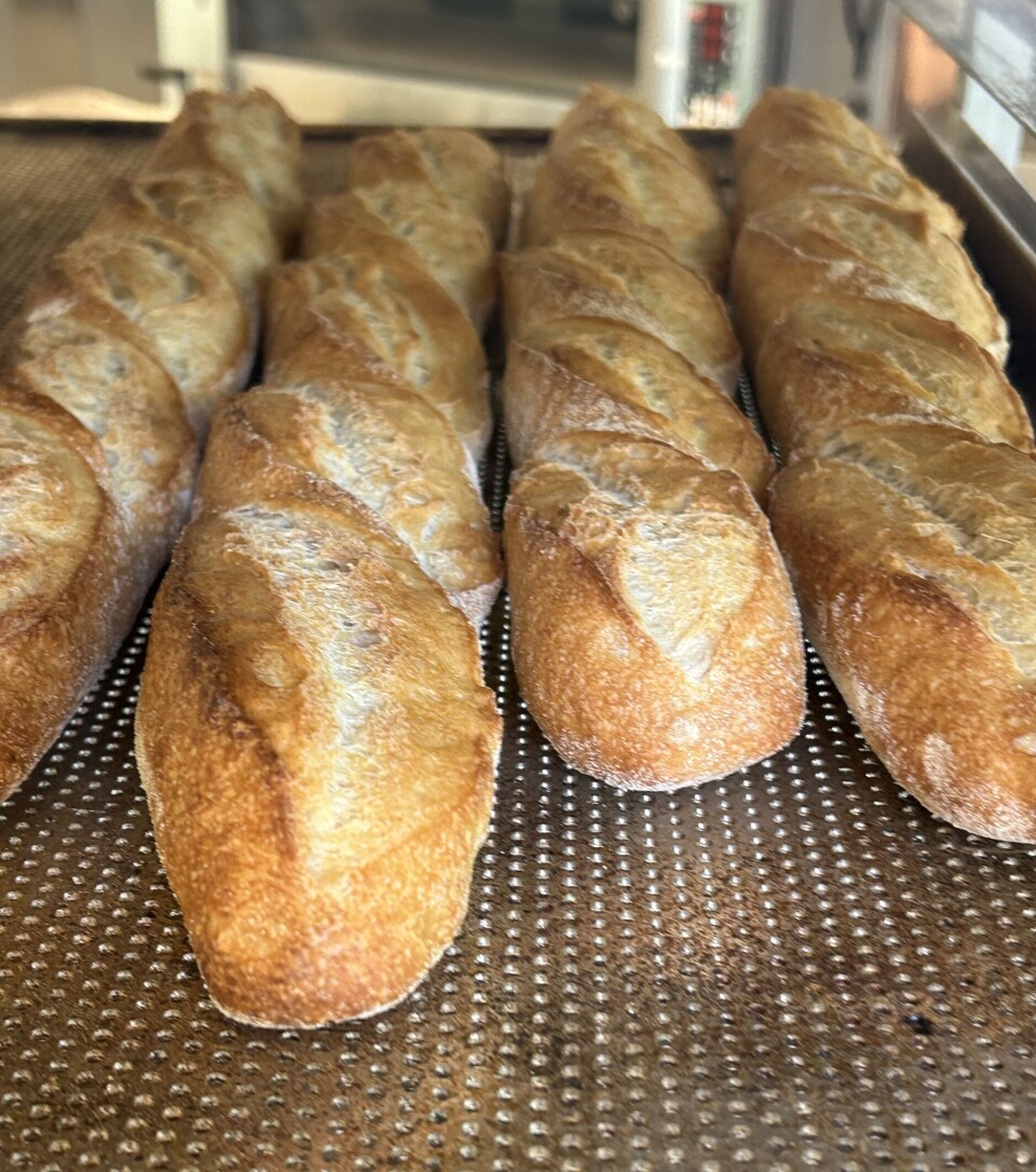 Norges bagetter i Nordic Bakery Cup 2025.