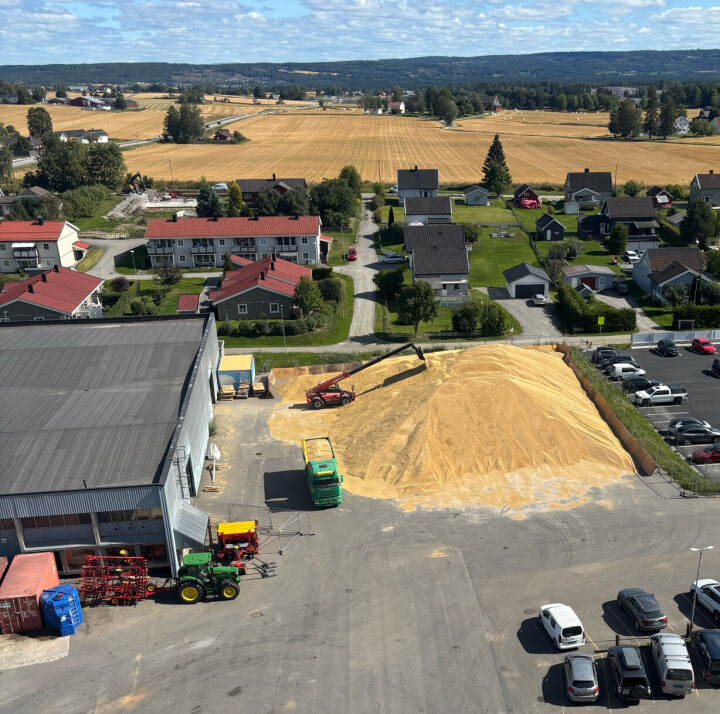 Et stort parti fôrkorn har blitt lagret midlertidig utendørs på Stange. Midlertidig utendørs lagring er en vanlig praksis i spesielt travle perioder, og kornets kvalitet blir ikke forringet. Kornet tørkes og renses før bruk, slik at det oppfyller kravene til kraftfôrproduksjon.