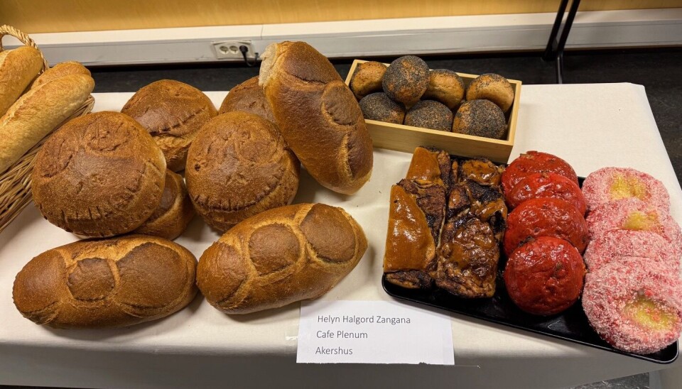 Helyn Halgord Zangana vant bakerkonkurransen med disse produktene. Oslo og Akershus Cup 2025